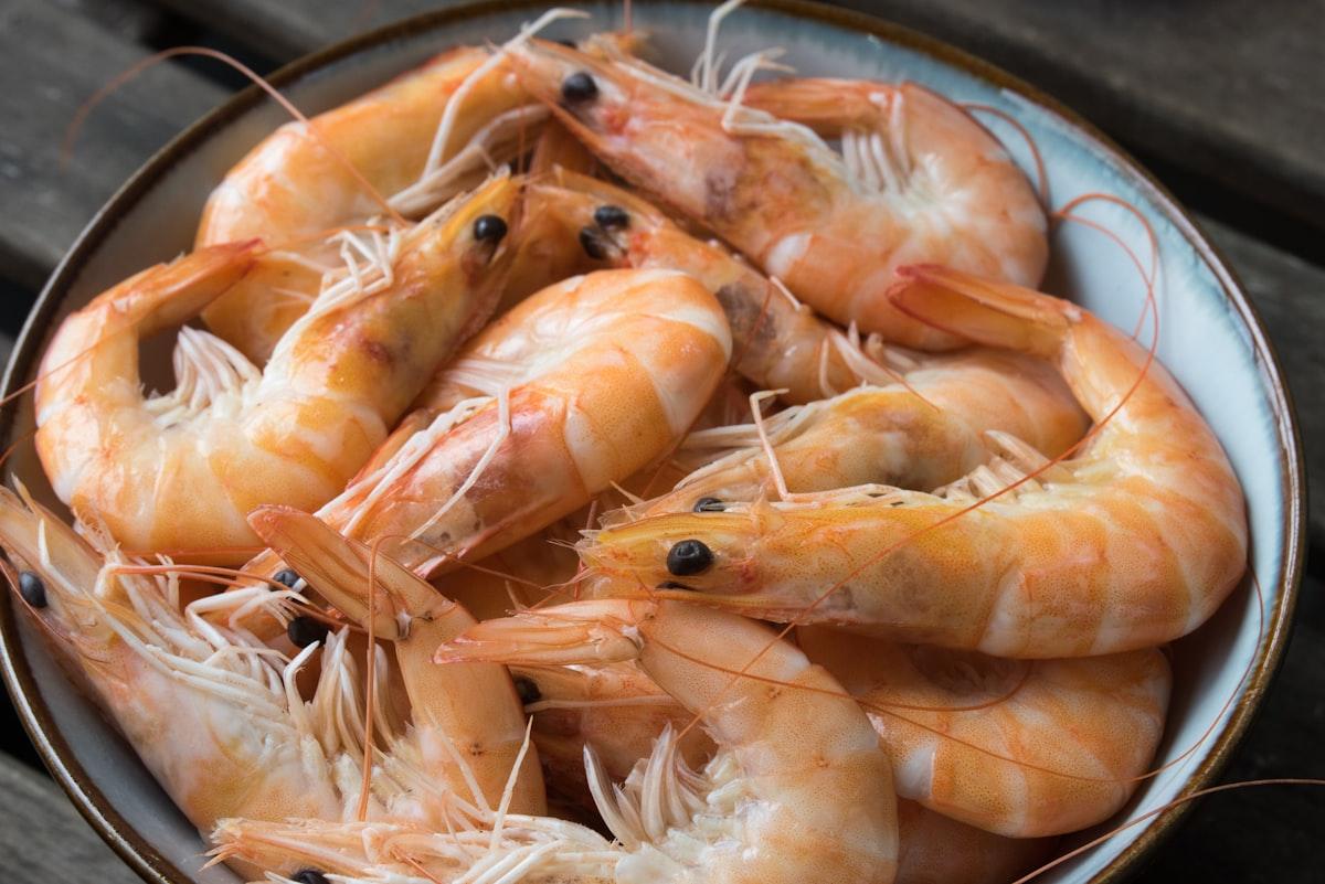 Fresh raw shrimp arranged on ice
