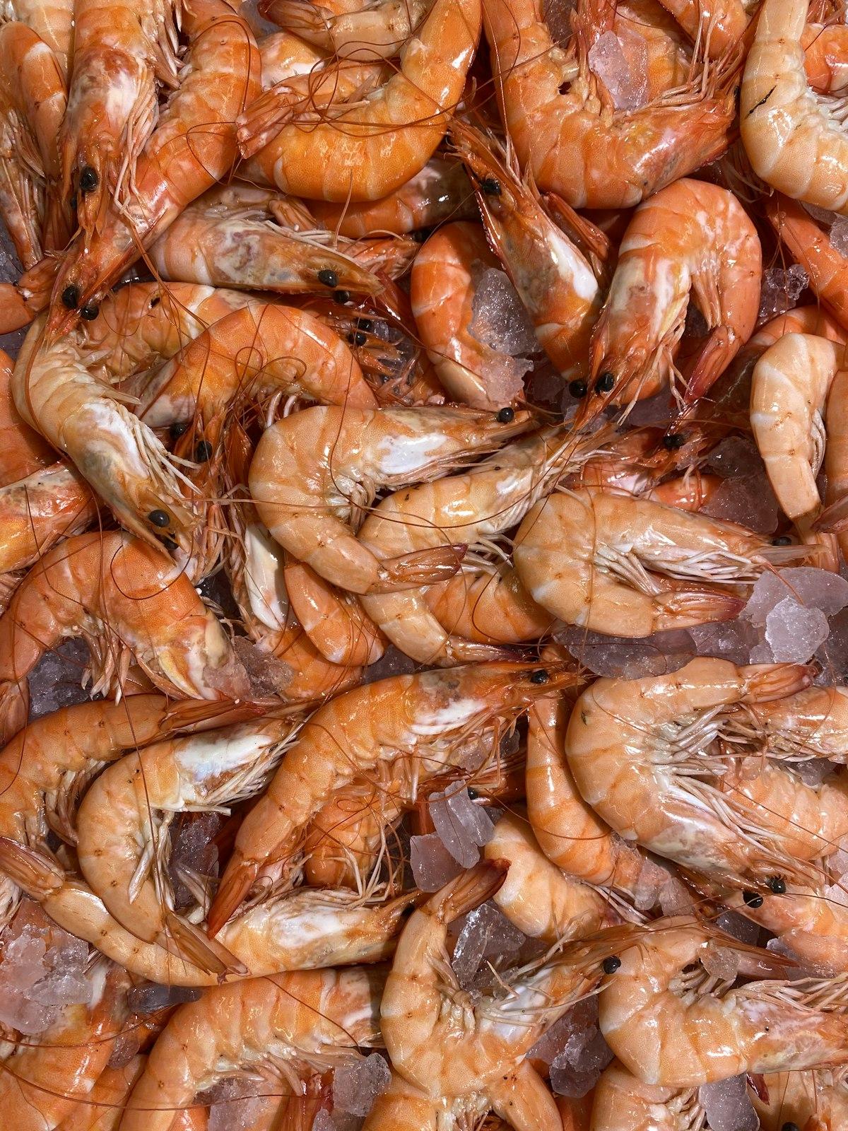 Farmed Vannamei Shrimp